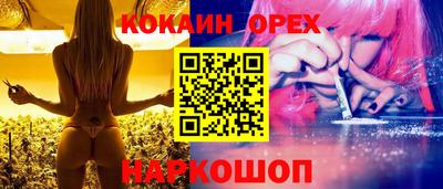 крисы Будённовск