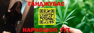крисы Будённовск